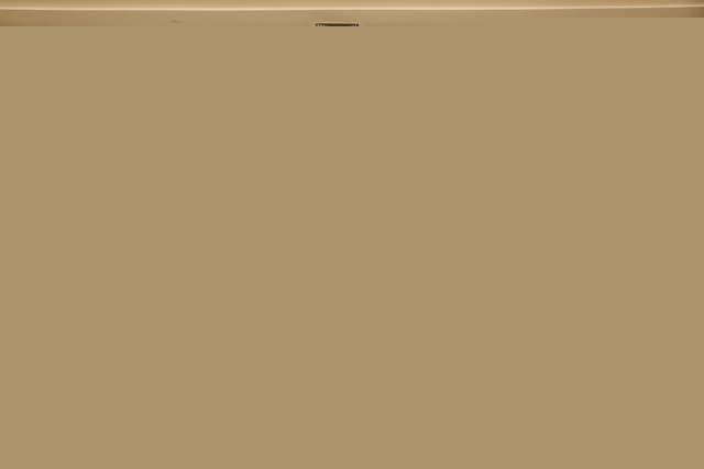5998484a6d644f85877e2688b39a64ea.jpg